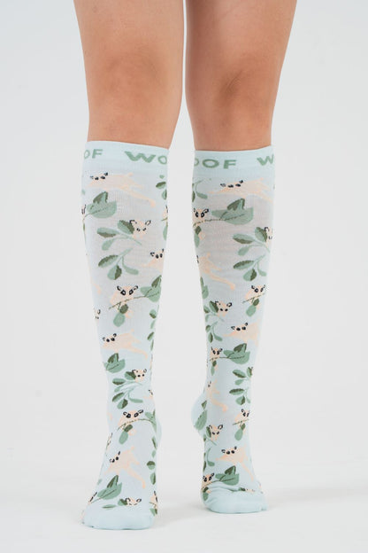 Sugar Gliders Bamboo Compression Socks
