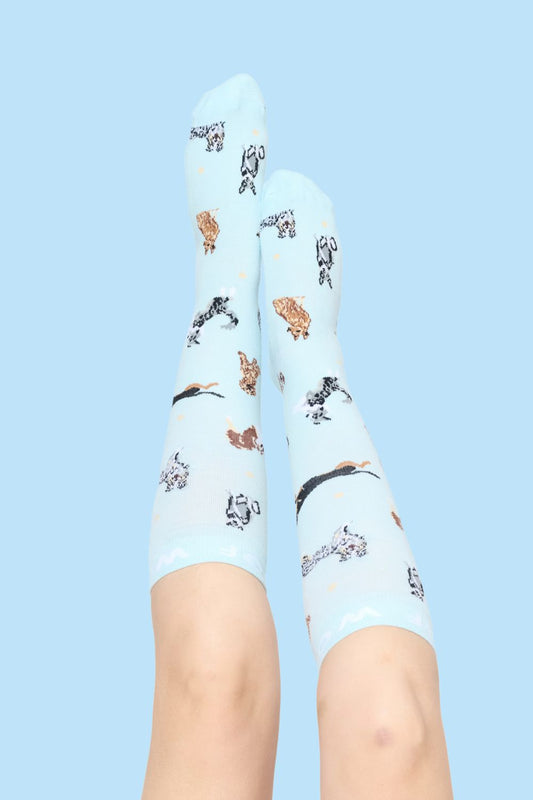 Down Under Dogs Bamboo Compression Socks